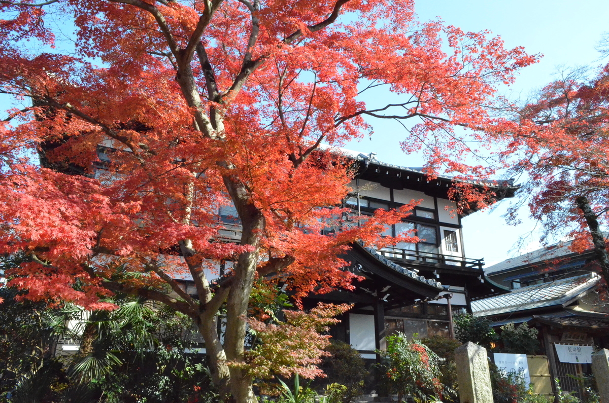 茶業会館の紅葉 見頃 2017年12月2日 撮影:MKタクシー