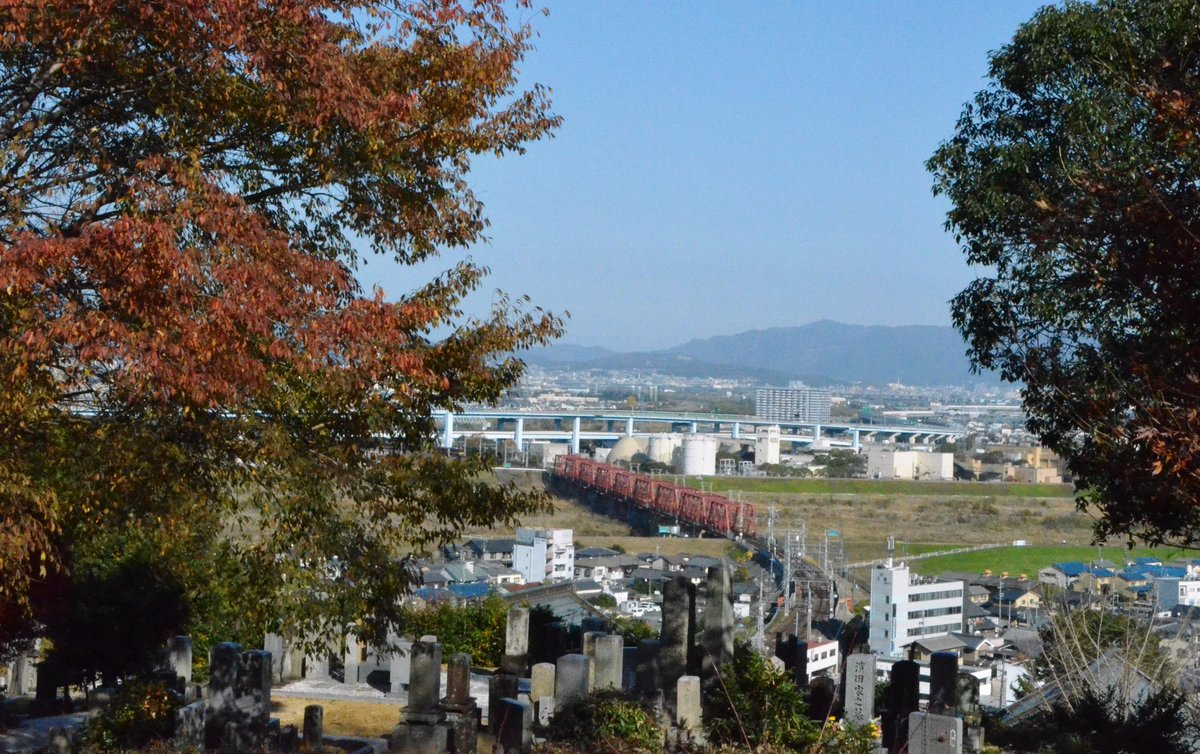 神応寺社・墓地前の紅葉 見頃 2017年12月3日 撮影:MKタクシー