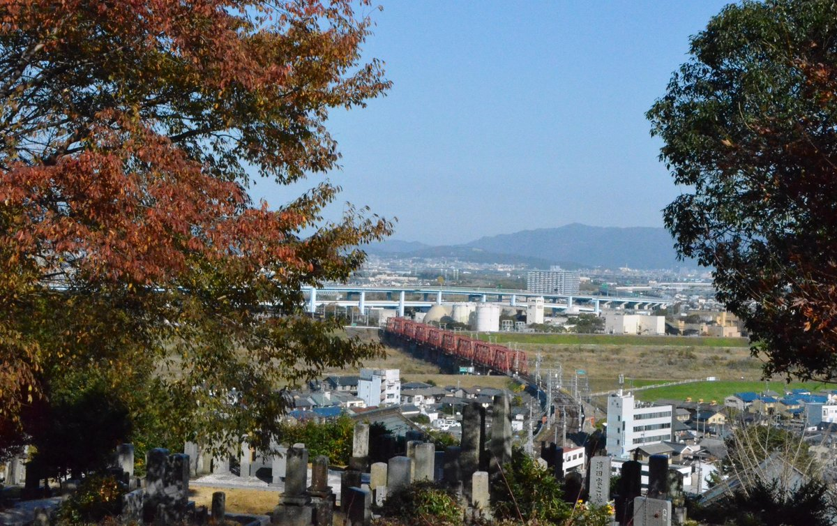 神応寺社・墓地前の紅葉　見頃　2017年12月3日　撮影：MKタクシー