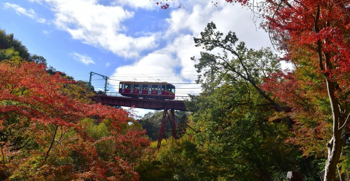 男山ケーブル・神応寺奥からの紅葉 見頃 2018年11月24日 撮影:MKタクシー