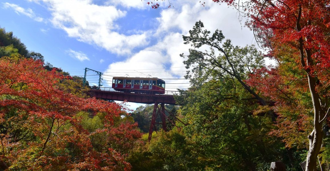 男山ケーブル・神応寺奥からの紅葉　見頃　2018年11月24日　撮影：MKタクシー