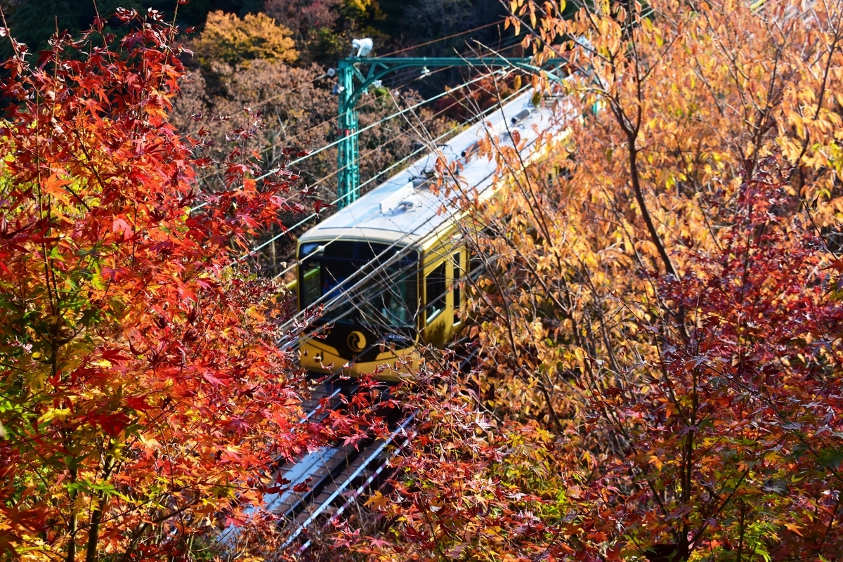 男山ケーブル・神応寺奥からの紅葉　見頃　2019年12月1日　撮影：MKタクシー