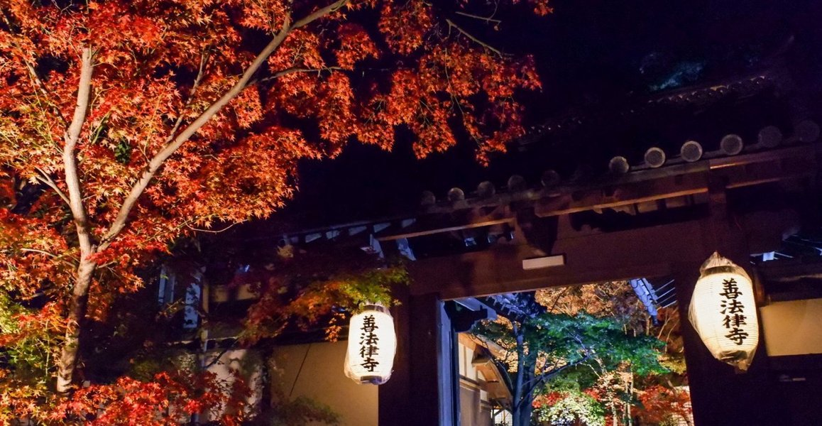 善法律寺の紅葉ライトアップ 見頃 2019年11月24日 撮影:MKタクシー