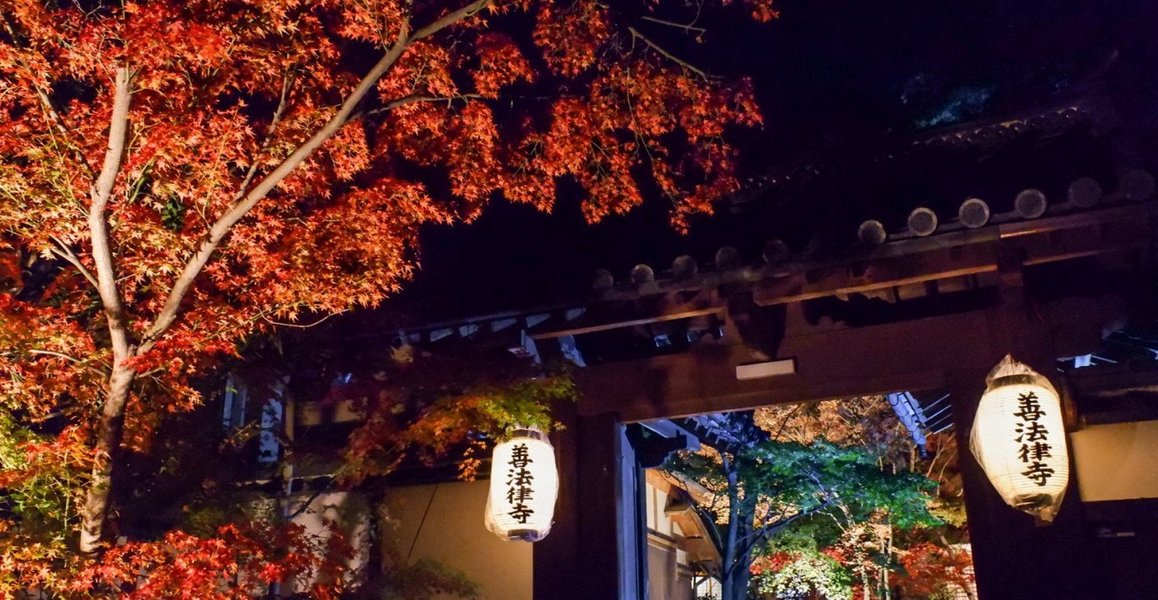 善法律寺の紅葉ライトアップ　見頃　2019年11月24日　撮影：MKタクシー