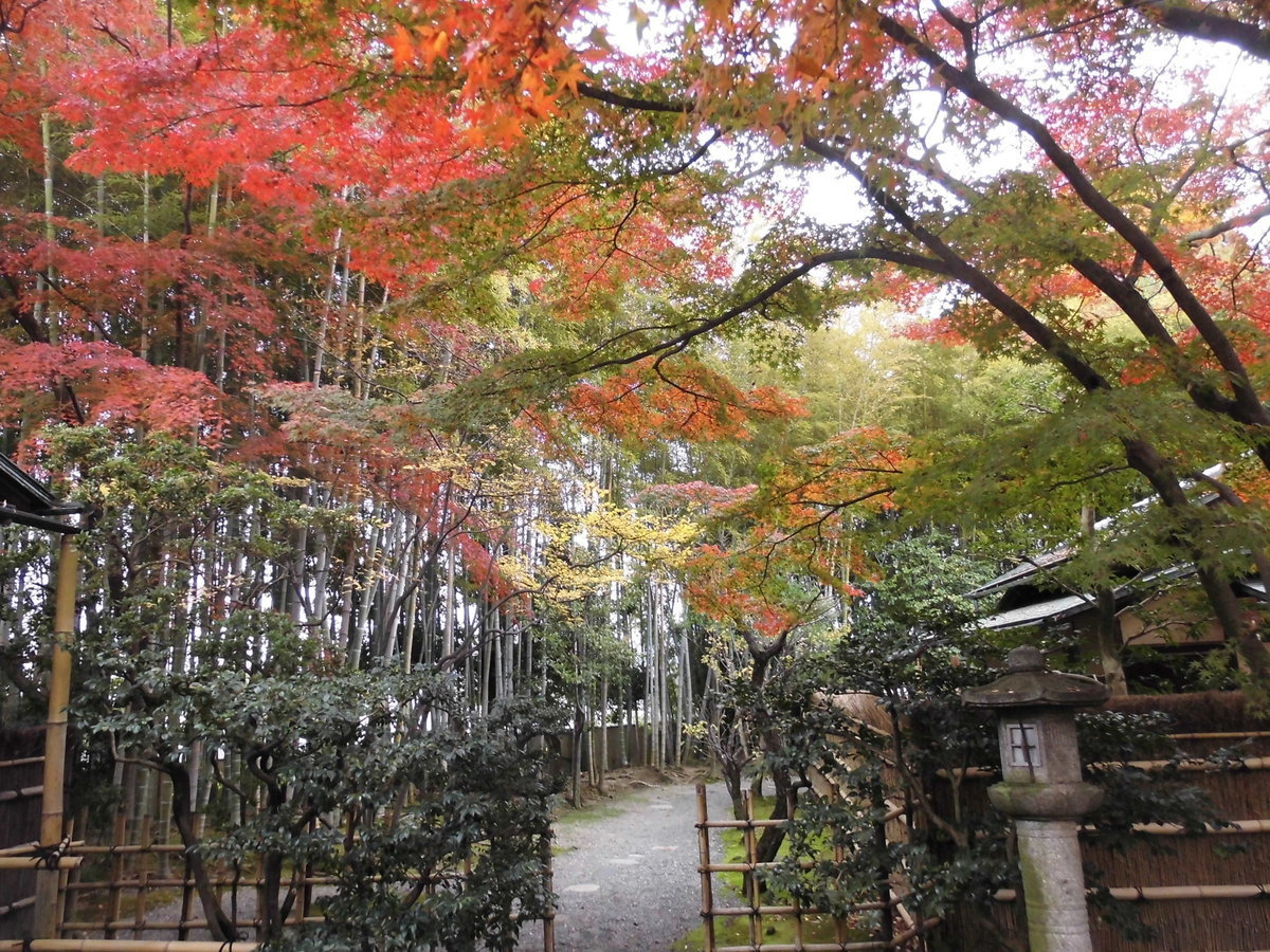 松花堂庭園・梅隠前の紅葉 見頃 2016年11月20日 撮影:MKタクシー