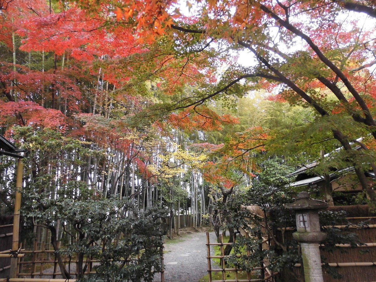 松花堂庭園・梅隠前の紅葉　見頃　2016年11月20日　撮影：MKタクシー