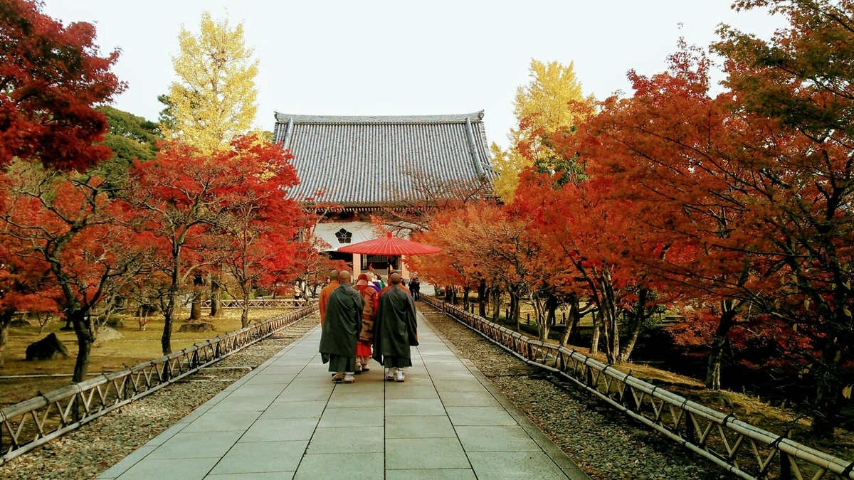f:id:mk_taxi:20201113092849j:plain f:id:mk_taxi:20201113092849j:plain