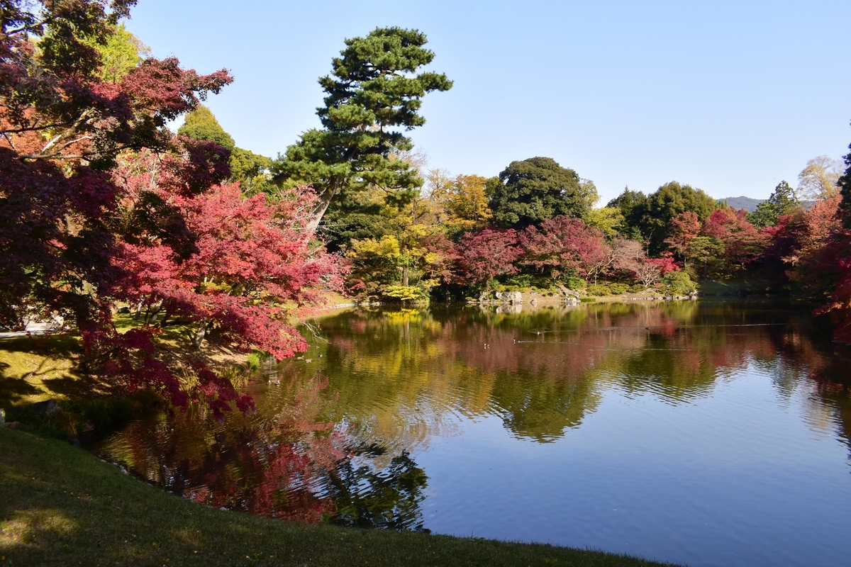 仙洞御所・北池の紅葉　見頃　2020年11月12日　撮影：MKタクシー