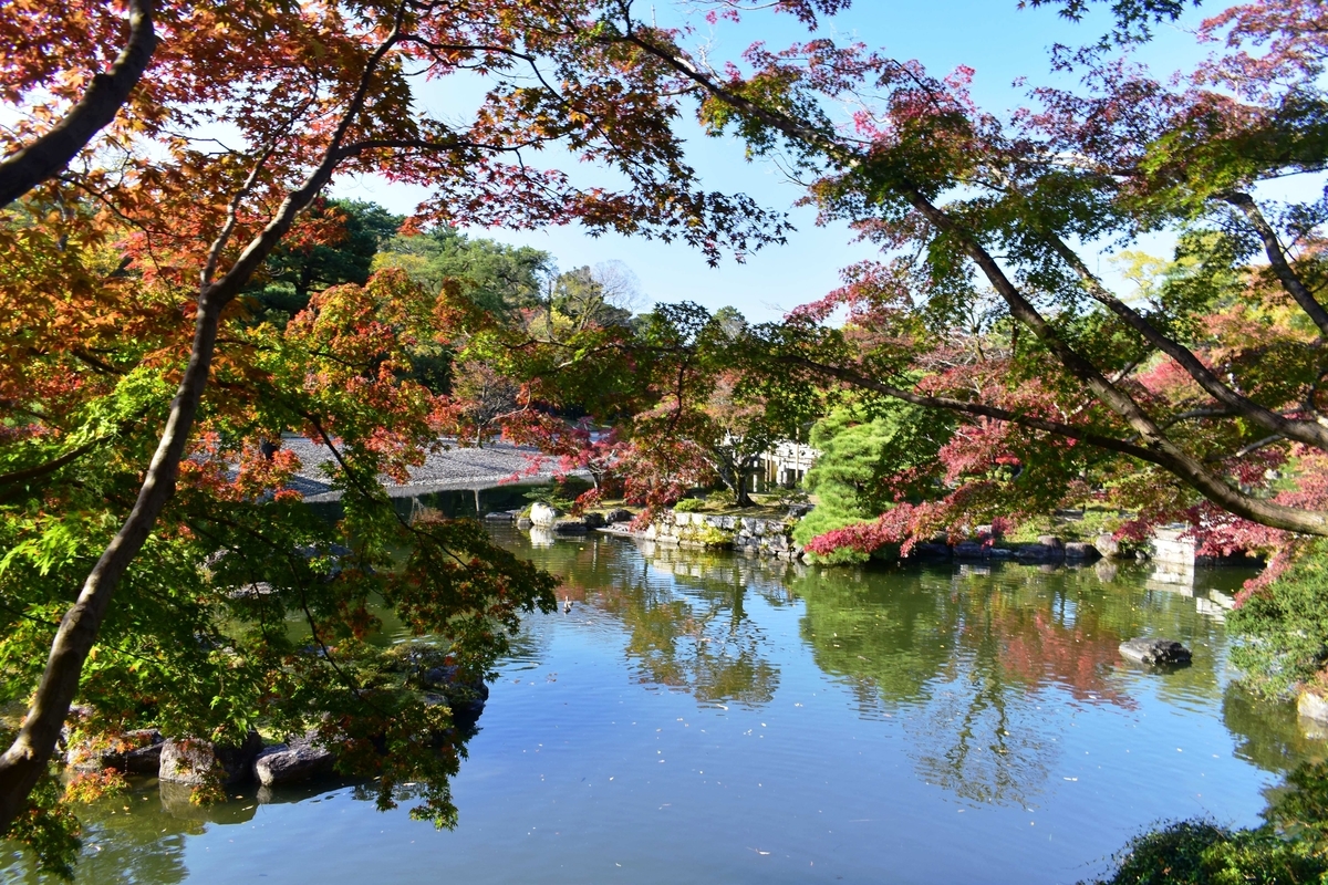 仙洞御所・南池の紅葉　見頃　2020年11月12日　撮影：MKタクシー