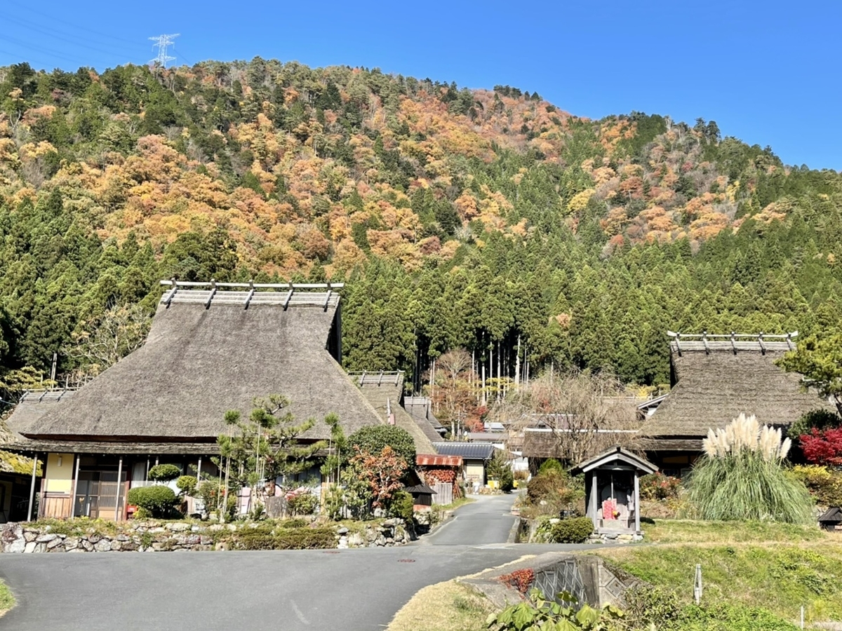 美山かやぶきの里の紅葉 見ごろ 2020年11月18日 撮影:MKタクシー