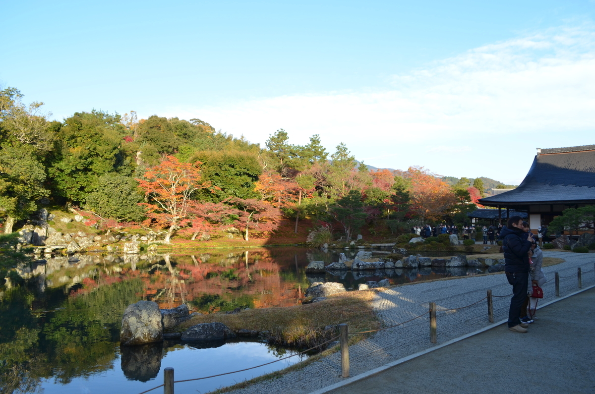 7:35 天龍寺の早朝参拝 曹源池 2017年11月25日 撮影:MKタクシー