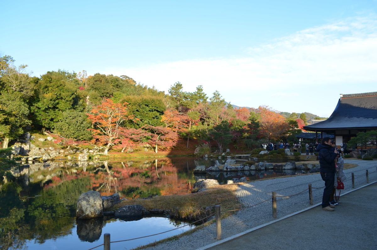 7:35　天龍寺の早朝参拝　曹源池　2017年11月25日　撮影：MKタクシー