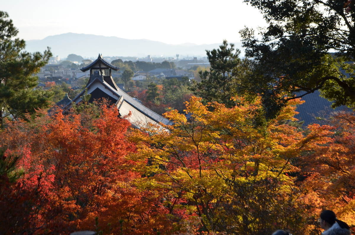 7:53 天龍寺の早朝参拝 望京の丘 2017年11月25日 撮影:MKタクシー