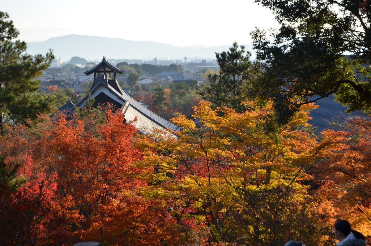 7:53　天龍寺の早朝参拝　望京の丘　2017年11月25日　撮影：MKタクシー