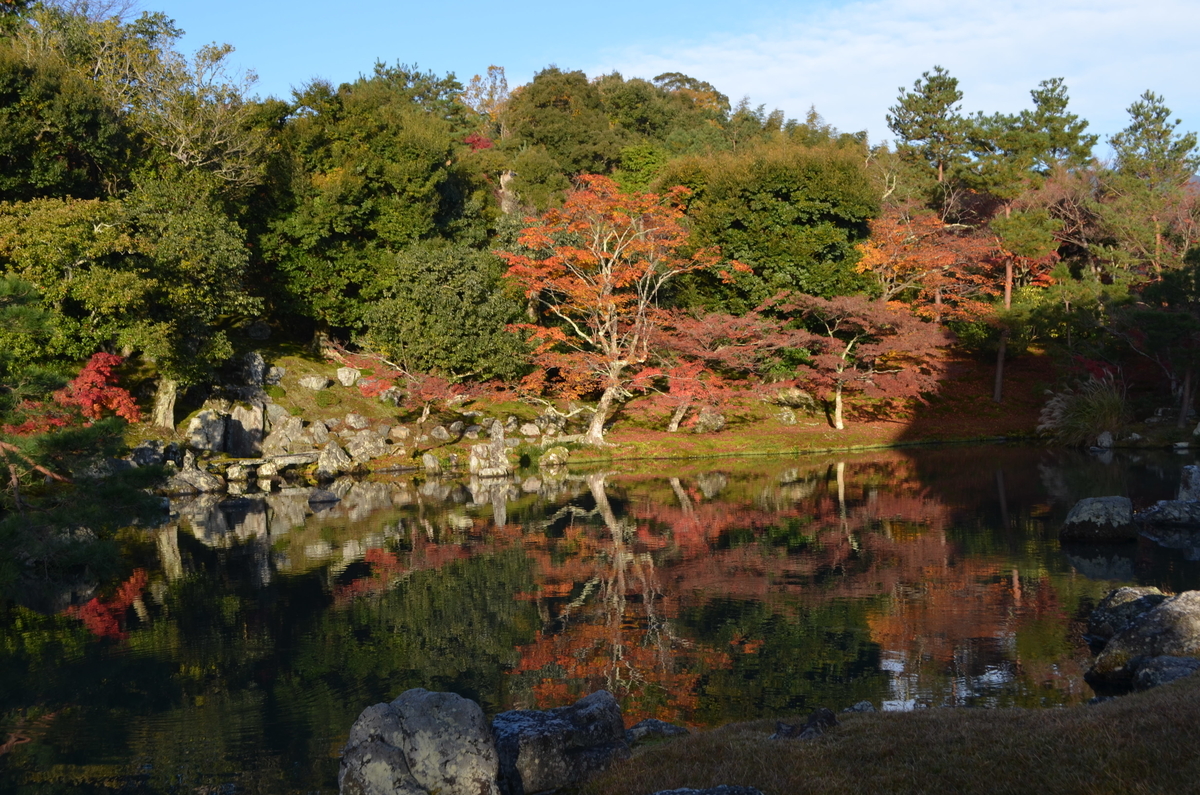 7:44　天龍寺の早朝参拝　曹源池　2017年11月25日　撮影：MKタクシー