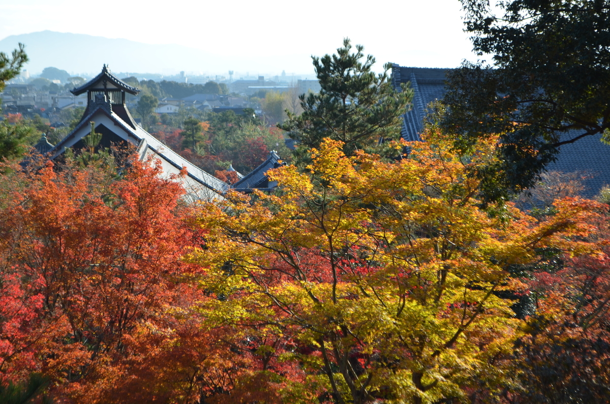 8:23　天龍寺の早朝参拝　望京の丘　2017年11月25日　撮影：MKタクシー