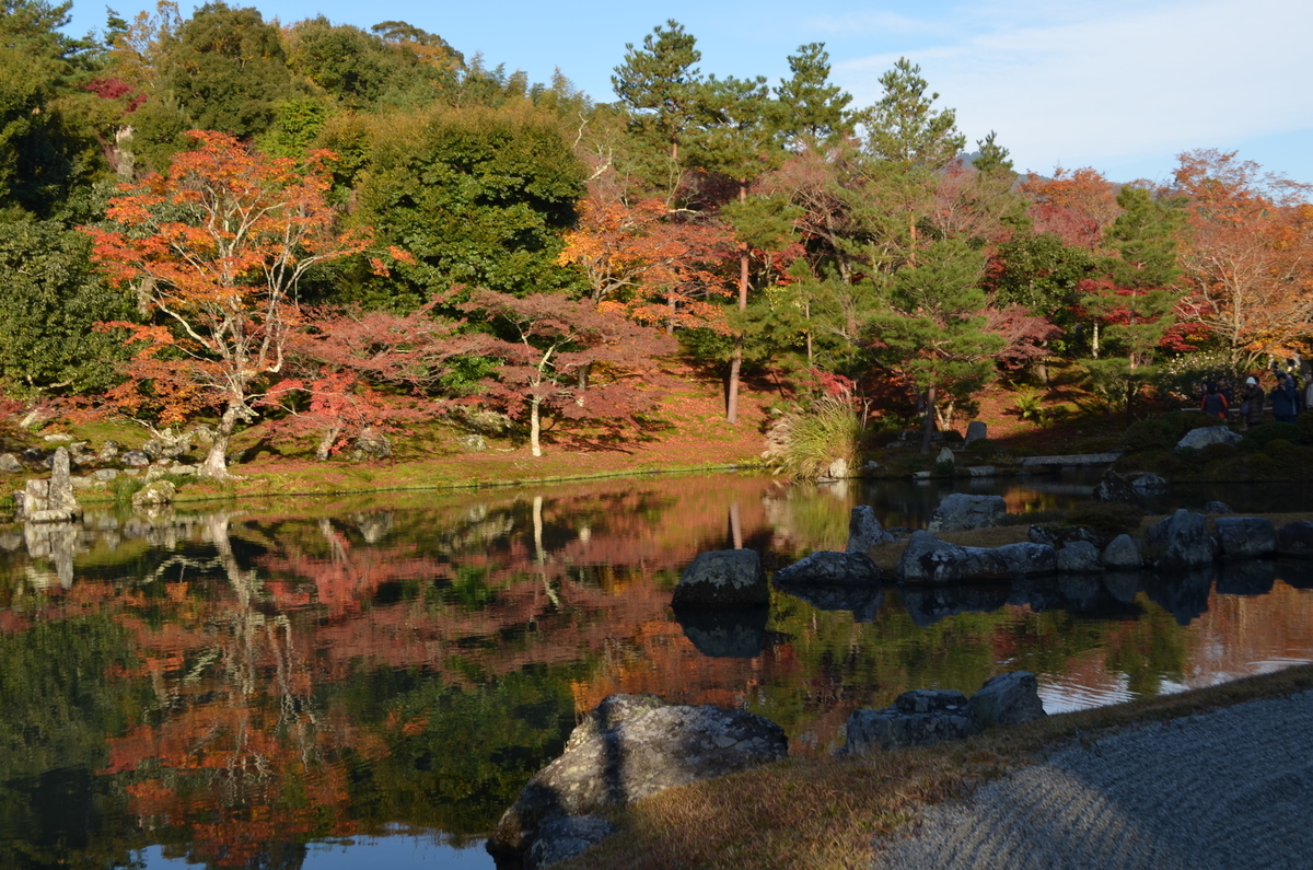 8:08 天龍寺の早朝参拝 曹源池 2017年11月25日 撮影:MKタクシー