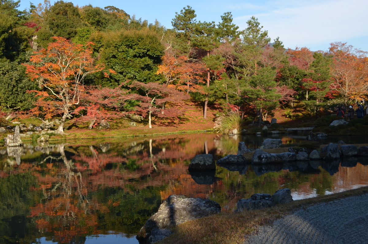 8:08　天龍寺の早朝参拝　曹源池　2017年11月25日　撮影：MKタクシー