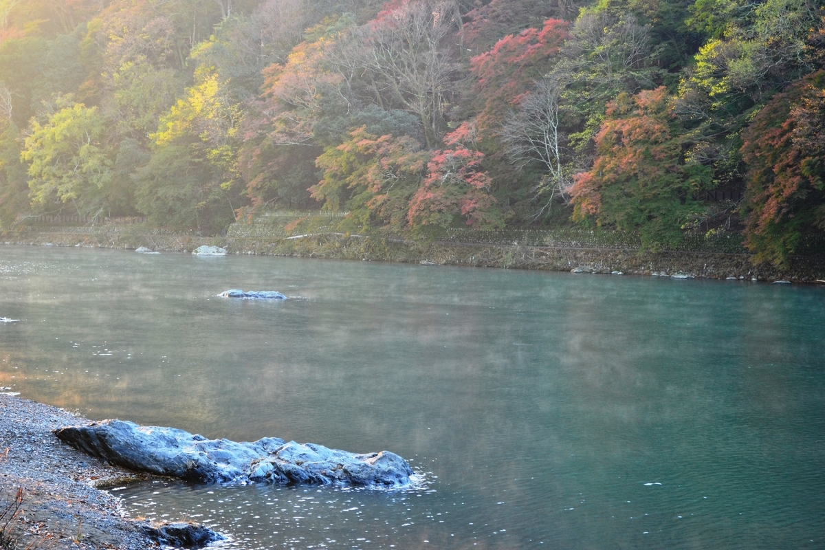 早朝の大堰川に湧く川霧 2017年11月15日 撮影:MKタクシー