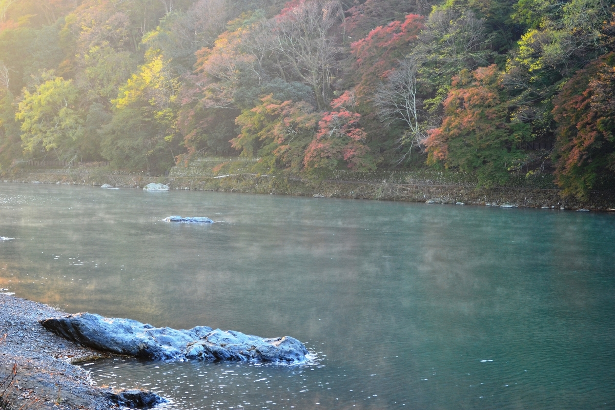 早朝の大堰川に湧く川霧　2017年11月15日　撮影：MKタクシー