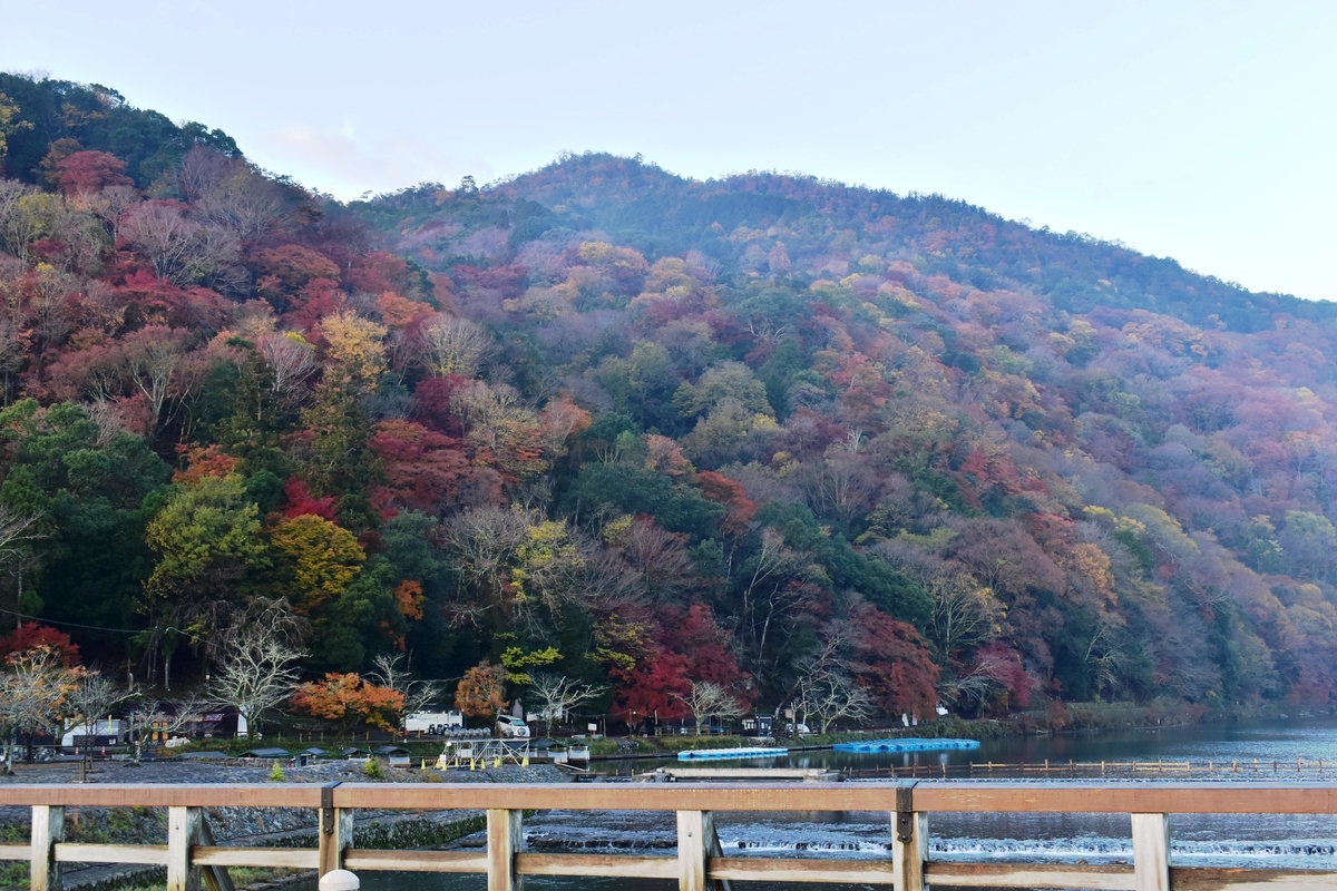 早朝の渡月橋から見た嵐山の紅葉 2018年11月29日 撮影:MKタクシー