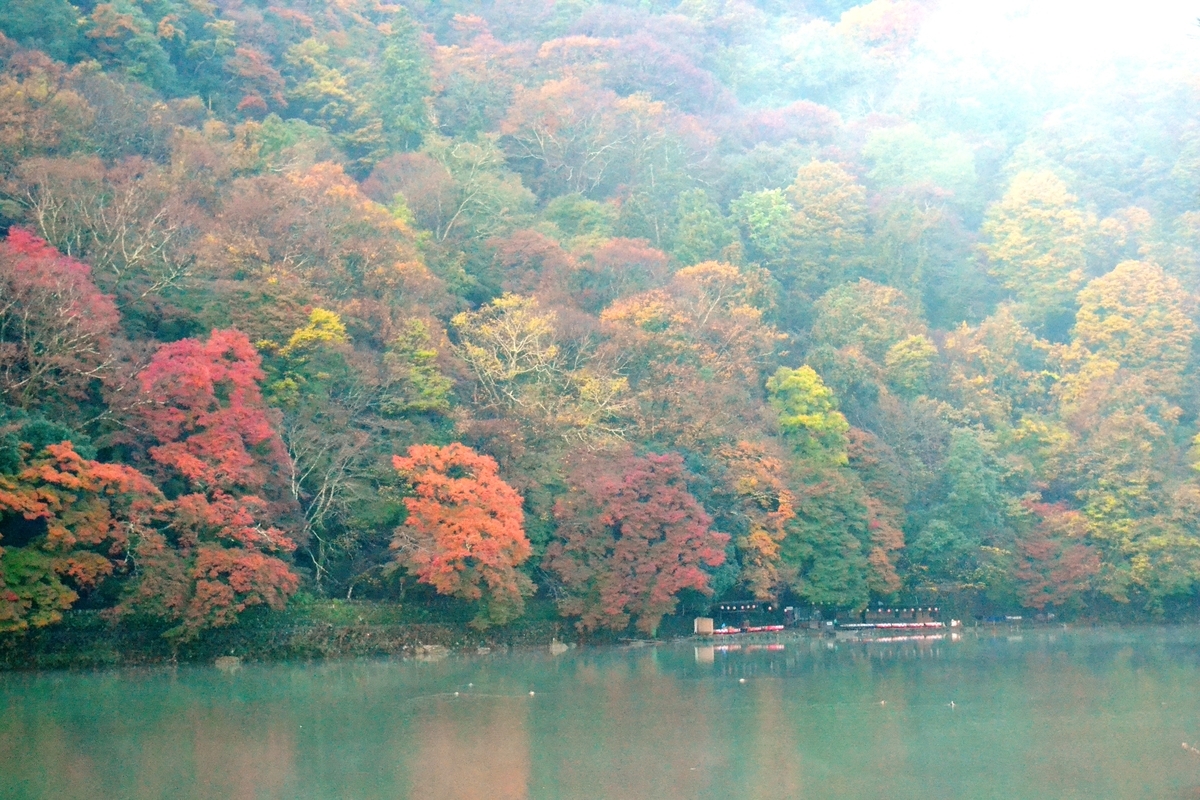 亀岡から保津峡沿いに流れ出てきた朝霧　2017年11月15日　撮影：MKタクシー