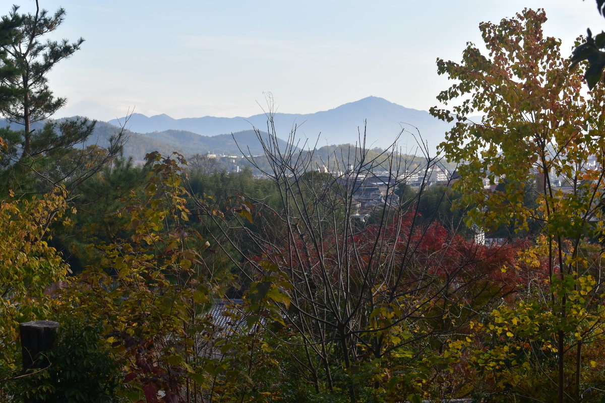 はるかかなたに見えるのは比叡山 2018年11月17日 撮影:MKタクシー
