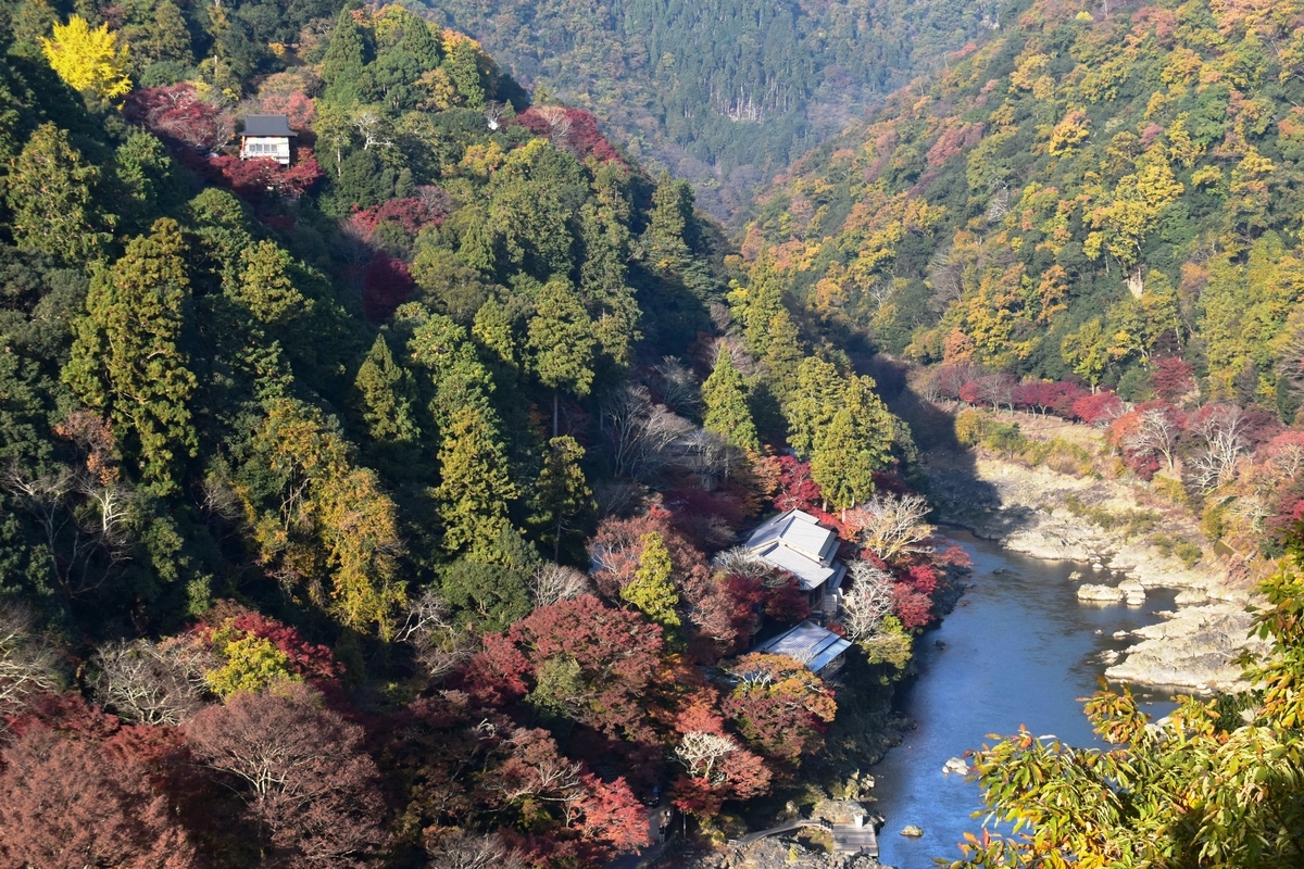 保津峡展望台から見た保津峡　2019年11月24日　撮影：MKタクシー