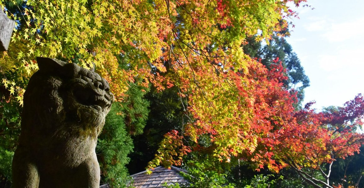 護法堂弁財天の紅葉と狛犬 2018年11月17日 撮影:MKタクシー