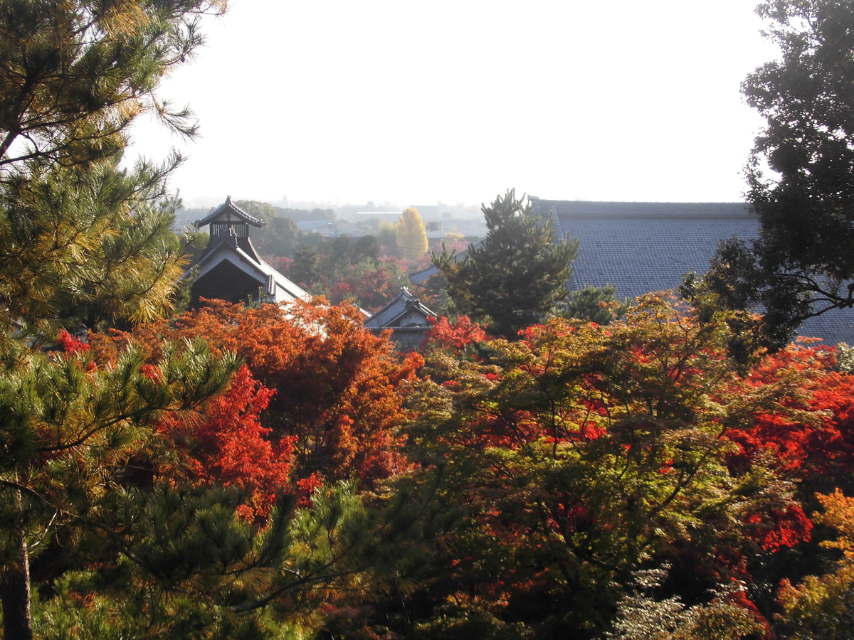 望京の丘 天龍寺の早朝参拝 2016年11月13日 撮影:MKタクシー