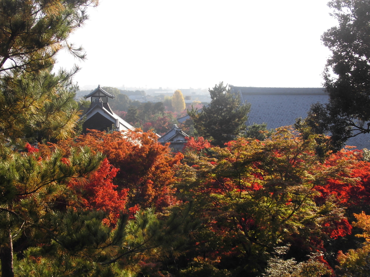 望京の丘　天龍寺の早朝参拝　2016年11月13日　撮影：MKタクシー