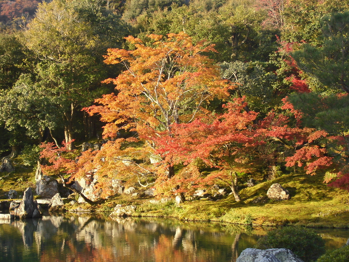 曹源池　天龍寺の早朝参拝　2016年11月13日　撮影：MKタクシー