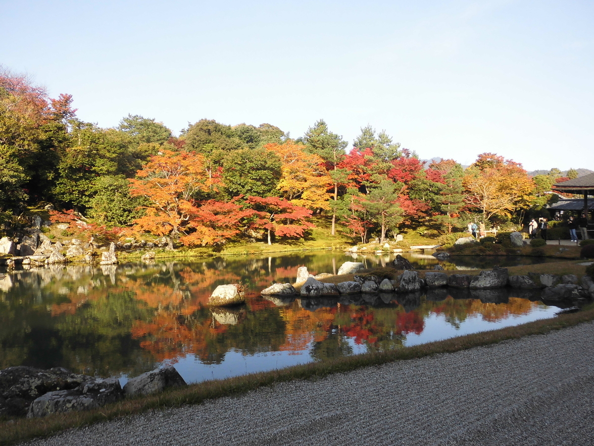 曹源池　天龍寺の早朝参拝　2016年11月13日　撮影：MKタクシー