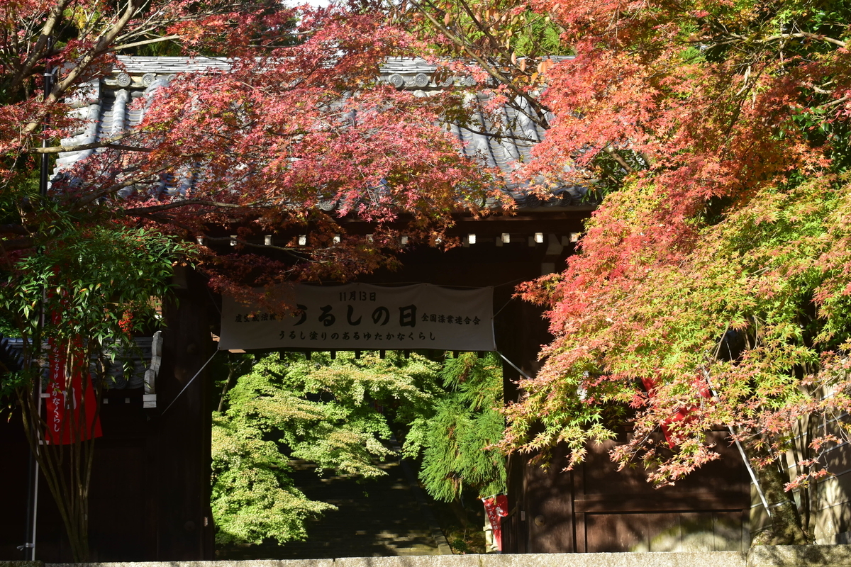 法輪寺の紅葉　2018年11月15日　撮影：MKタクシー