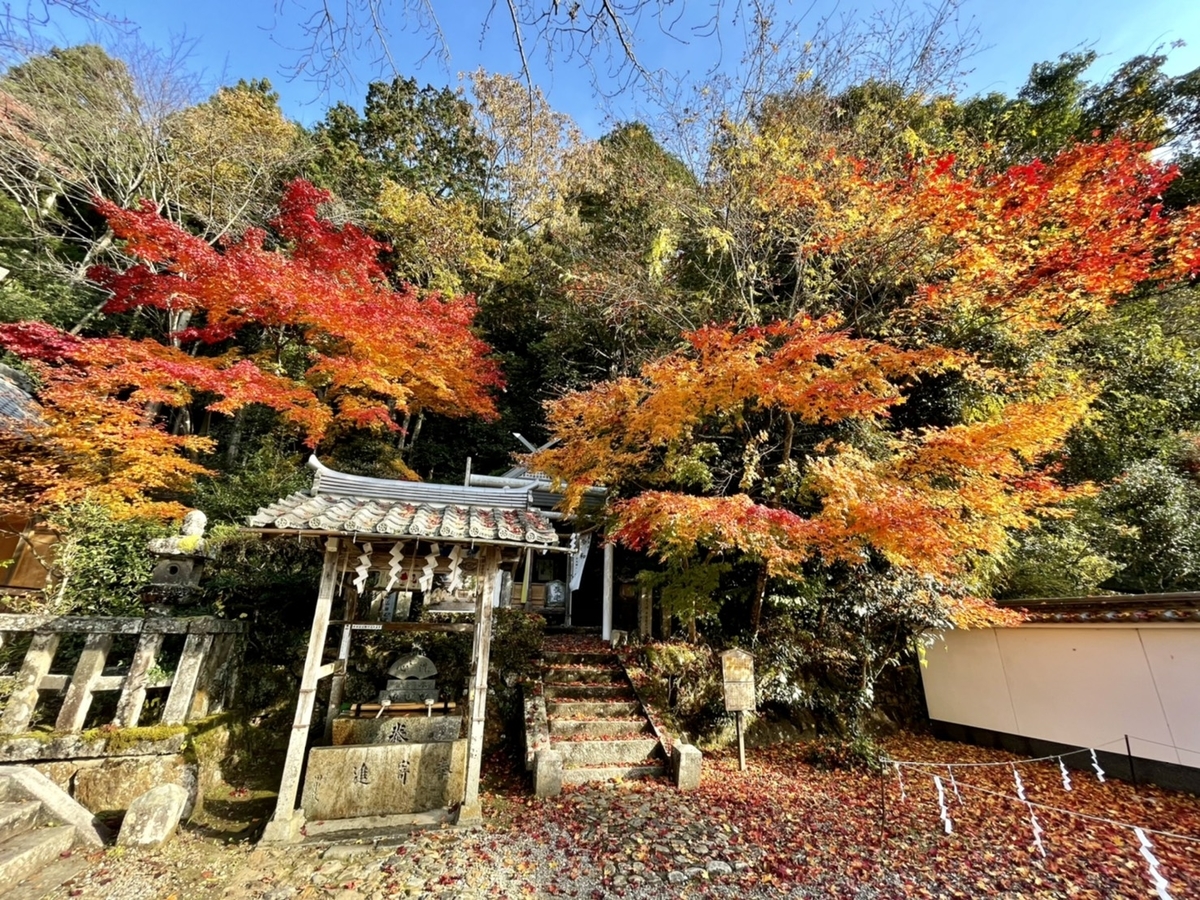 生身天満宮の紅葉　2020年11月18日　見頃　撮影：MKタクシー