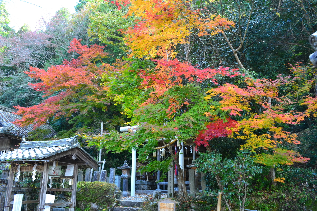 生身天満宮の紅葉　2017年11月12日　見頃近し　撮影：MKタクシー