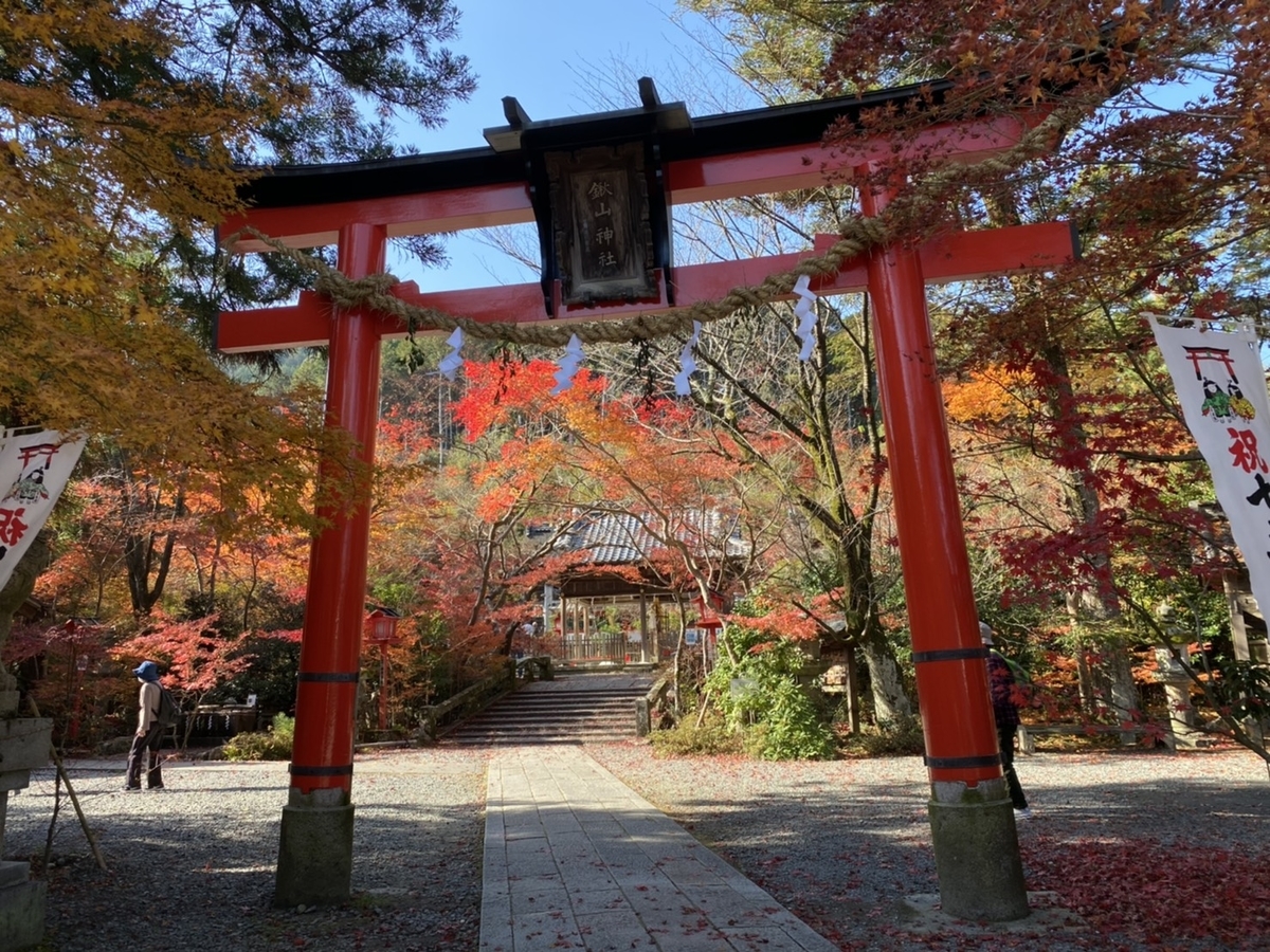 鍬山神社の紅葉　見頃　2020年11月18日　撮影：MKタクシー