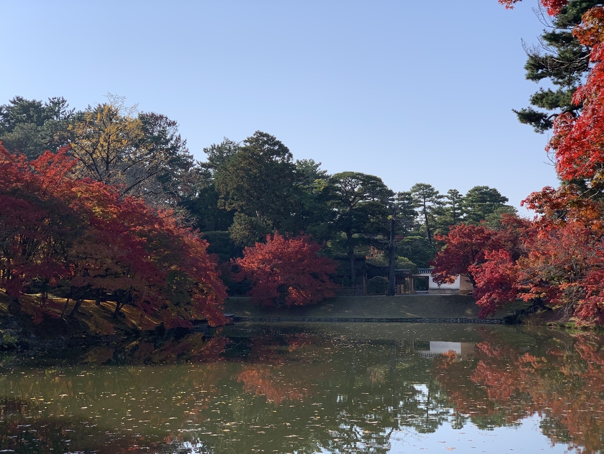 仙洞御所・南池の紅葉　見頃　2020年11月18日　撮影：MKタクシー