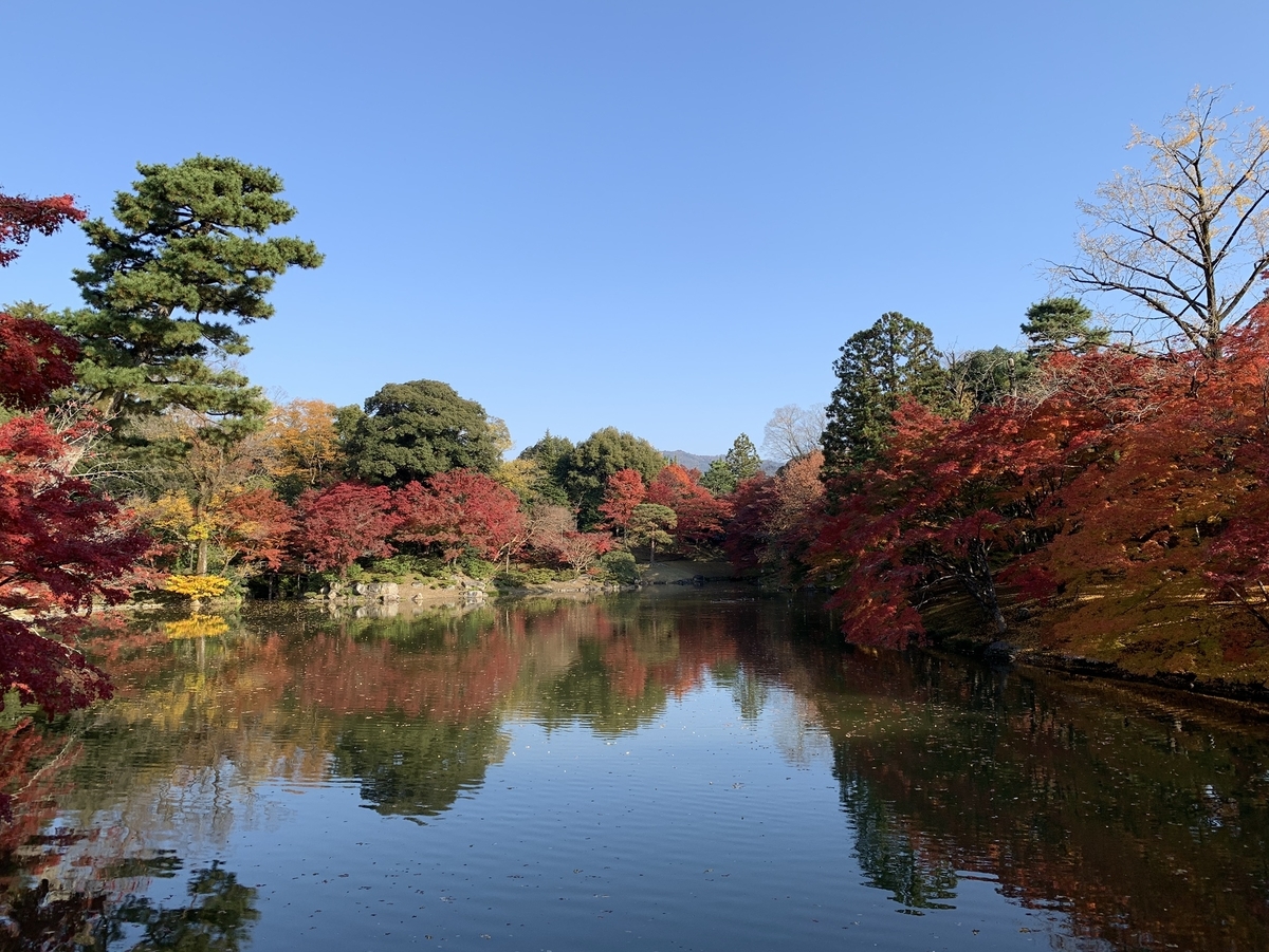 仙洞御所・北池の紅葉　見頃　2020年11月18日　撮影：MKタクシー