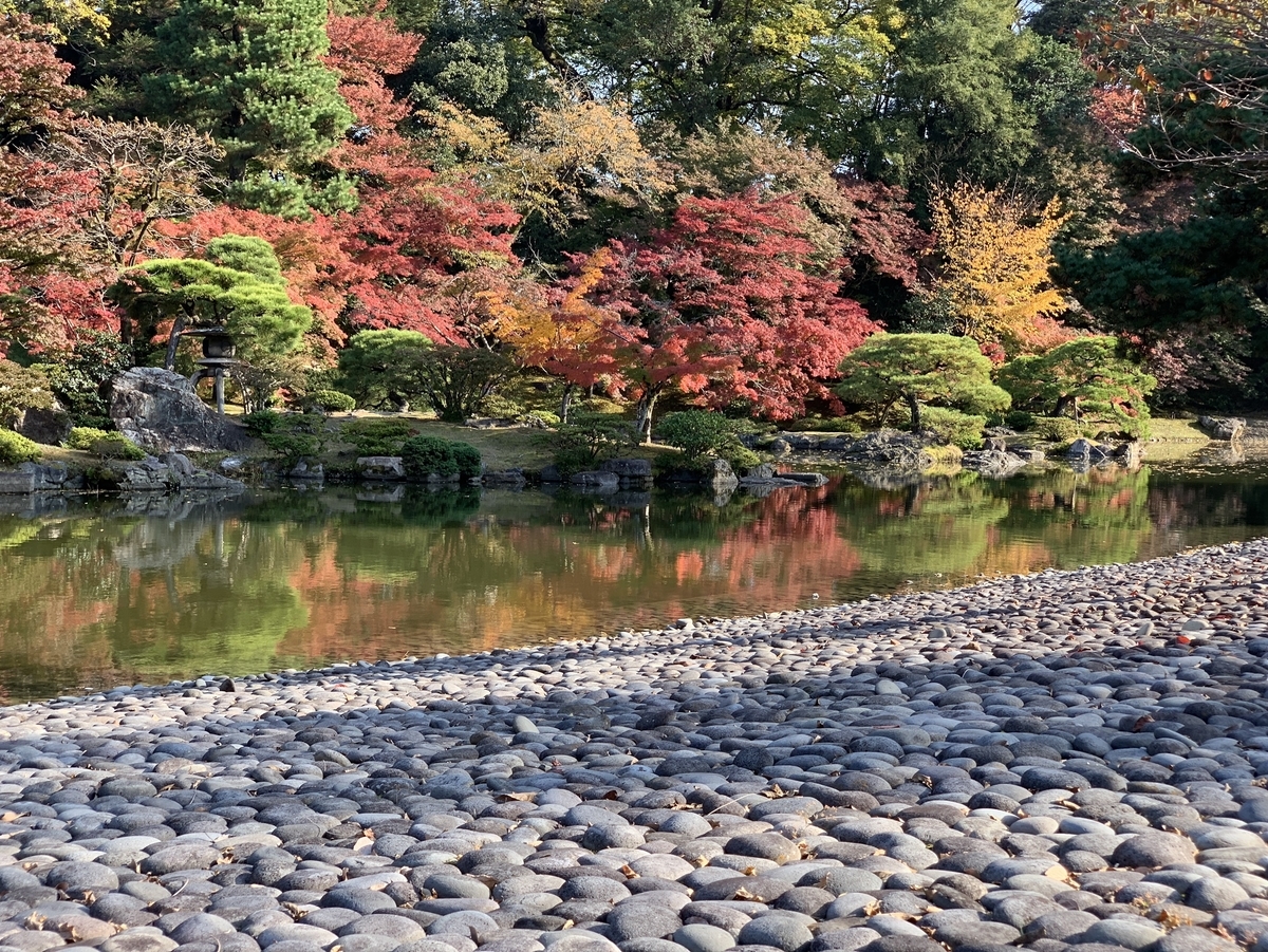 仙洞御所・南池の紅葉　見頃　2020年11月18日　撮影：MKタクシー