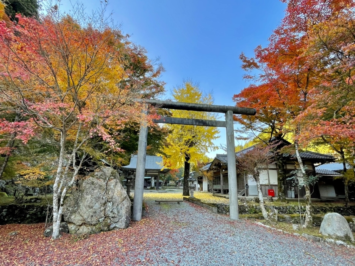 多治神社（日吉）の紅葉　見頃　2020年11月18日　撮影：MKタクシー