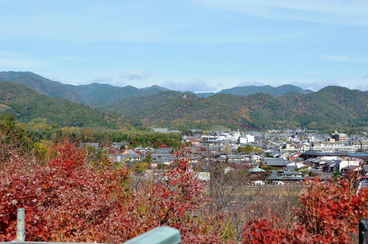 法輪寺・展望台の紅葉 見頃 2017年11月25日 撮影:MKタクシー