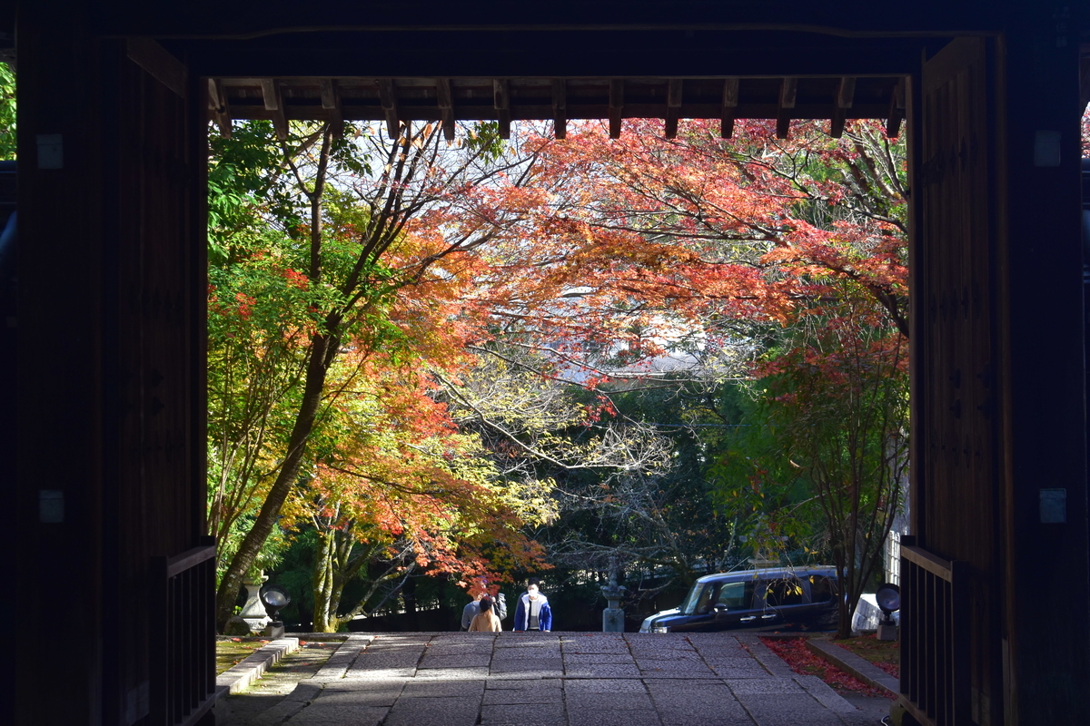 法輪寺・山門の紅葉 見頃近し 2020年11月15日 撮影:MKタクシー