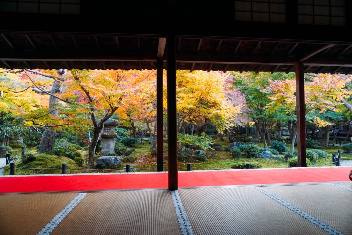 圓光寺・十牛の庭の紅葉 見頃 2020年11月16日 撮影:MKタクシー