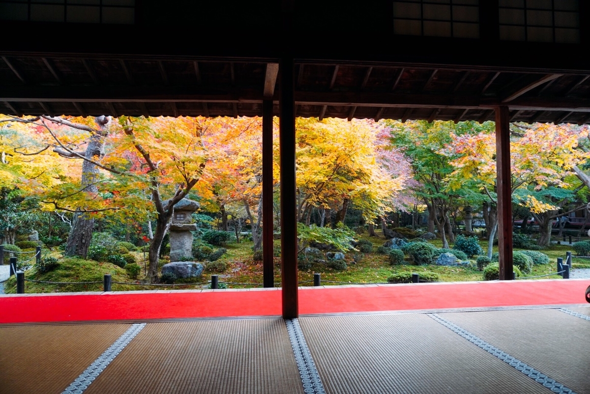 圓光寺・十牛の庭の紅葉　見頃　2020年11月16日　撮影：MKタクシー