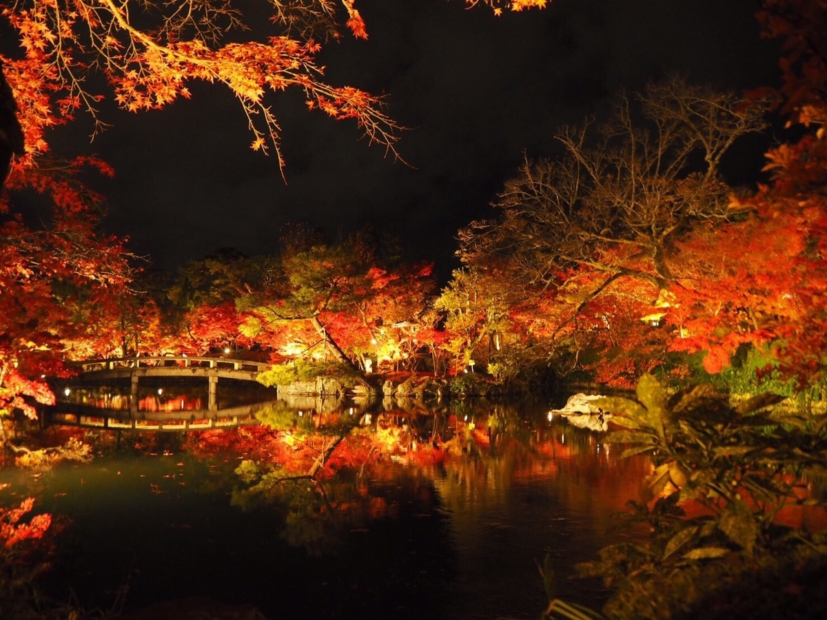 永観堂・放生池の紅葉ライトアップ 見頃 2017年11月23日 撮影:MKタクシー