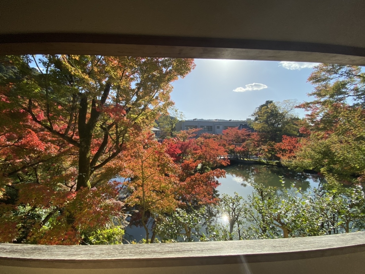 永観堂・放生池の紅葉 見頃 2019年11月15日 撮影:MKタクシー