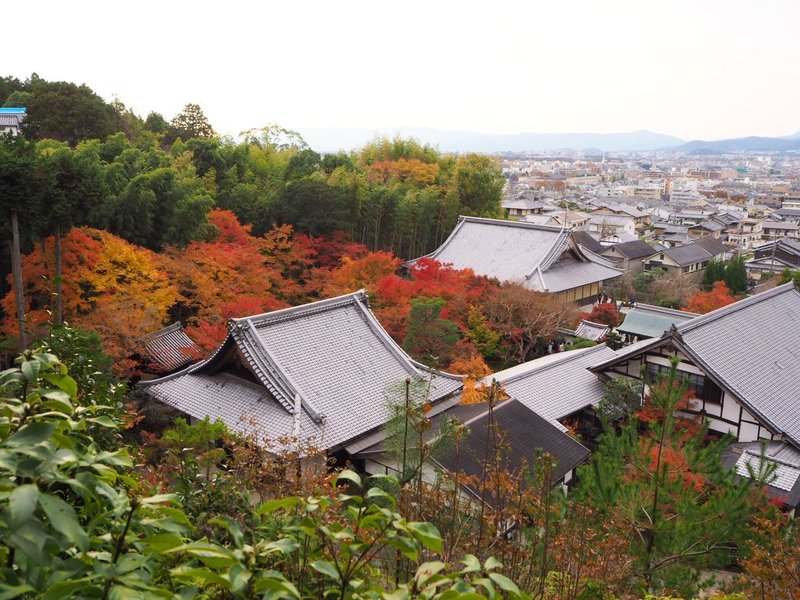 圓光寺の紅葉　見頃　2018年11月25日　撮影：MKタクシー