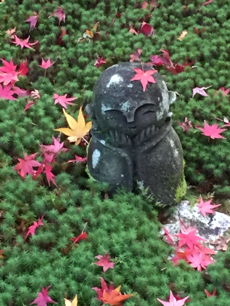 圓光寺の苔と散紅葉 2017年12月9日 撮影:MKタクシー