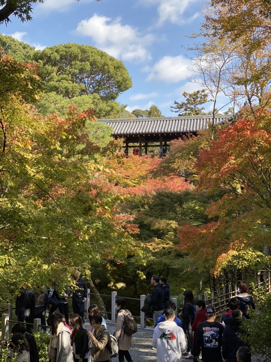 東福寺・洗玉澗から通天橋の紅葉 見頃近し 2019年11月15日 撮影:MKタクシー